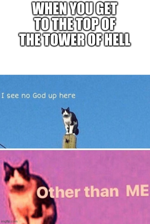 the tower of hell IS hard after all..... ;) | WHEN YOU GET TO THE TOP OF THE TOWER OF HELL | image tagged in hail pole cat | made w/ Imgflip meme maker