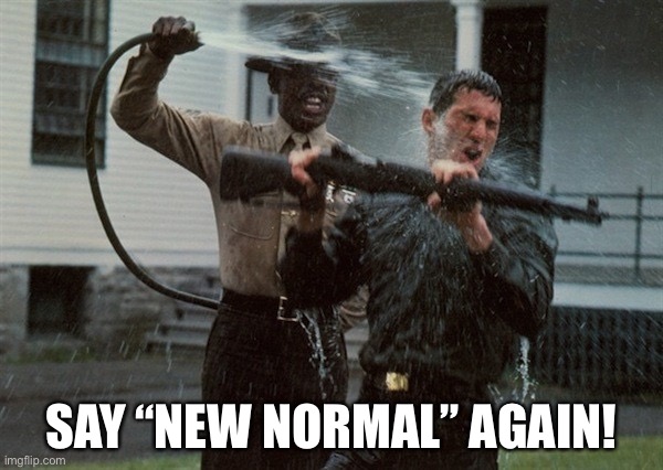 Say New Normal Again | SAY “NEW NORMAL” AGAIN! | image tagged in di water face 1 | made w/ Imgflip meme maker
