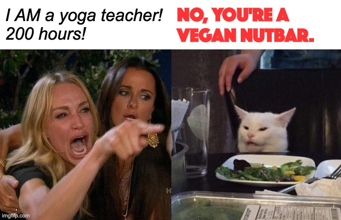 Woman Yelling At Cat Meme | I AM a yoga teacher!
200 hours! NO, YOU'RE A
VEGAN NUTBAR. | image tagged in memes,woman yelling at cat | made w/ Imgflip meme maker