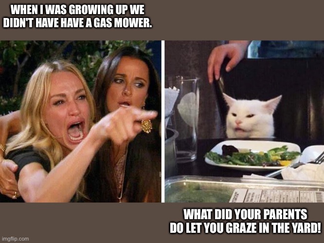 Woman yelling at cat | WHEN I WAS GROWING UP WE DIDN'T HAVE HAVE A GAS MOWER. WHAT DID YOUR PARENTS DO LET YOU GRAZE IN THE YARD! | image tagged in smudge the cat | made w/ Imgflip meme maker