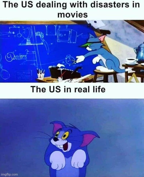 image tagged in tom and jerry,usa | made w/ Imgflip meme maker