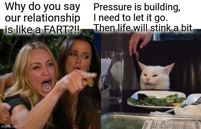 Woman Yelling At Cat | Why do you say our relationship is like a FART?!! Pressure is building, I need to let it go. Then life will stink a bit. | image tagged in memes,woman yelling at cat,fart,funny meme,lol so funny | made w/ Imgflip meme maker