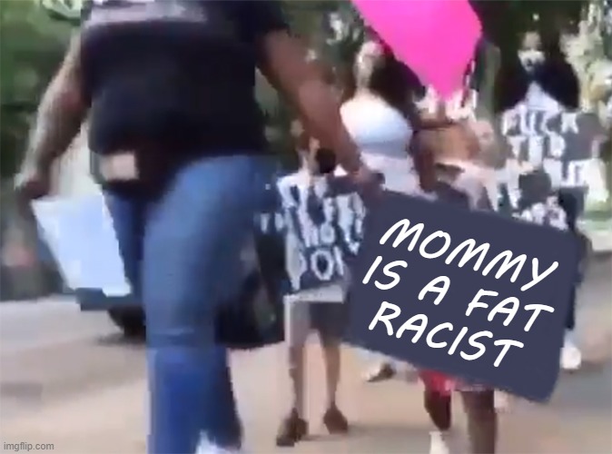 Racism is taught. | MOMMY
IS A FAT
RACIST | image tagged in child protester with sign,memes | made w/ Imgflip meme maker