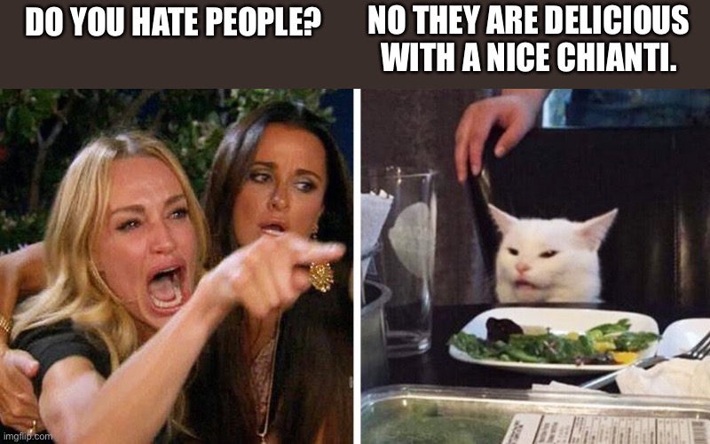 Woman yelling at cat | NO THEY ARE DELICIOUS WITH A NICE CHIANTI. DO YOU HATE PEOPLE? | image tagged in smudge the cat | made w/ Imgflip meme maker