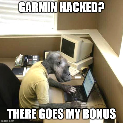 Monkey Business Meme | GARMIN HACKED? THERE GOES MY BONUS | image tagged in memes,monkey business | made w/ Imgflip meme maker