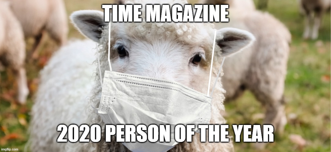 Time Person of Year 2020 | TIME MAGAZINE; 2020 PERSON OF THE YEAR | image tagged in sheep mask | made w/ Imgflip meme maker