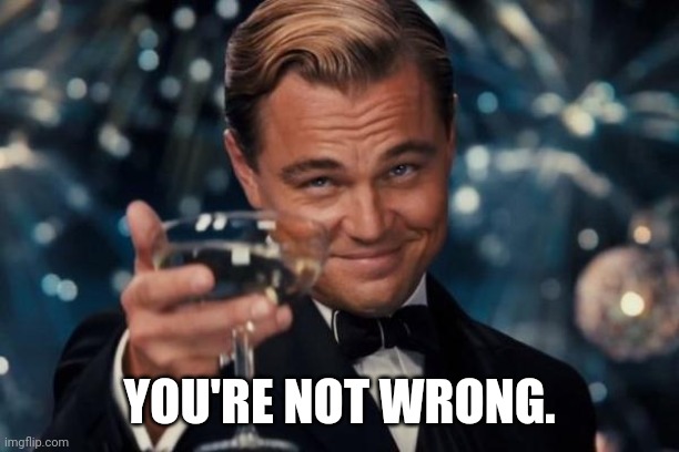 Leonardo Dicaprio Cheers Meme | YOU'RE NOT WRONG. | image tagged in memes,leonardo dicaprio cheers | made w/ Imgflip meme maker