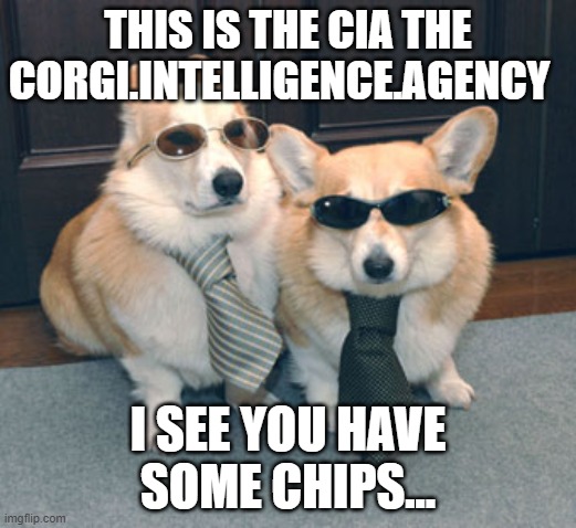 Corgi | THIS IS THE CIA THE CORGI.INTELLIGENCE.AGENCY; I SEE YOU HAVE SOME CHIPS... | image tagged in corgis in suits | made w/ Imgflip meme maker