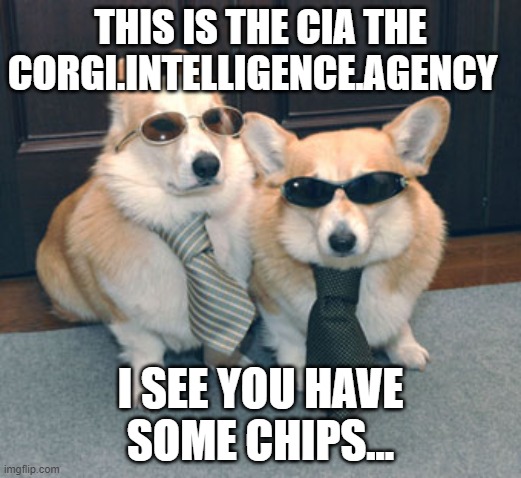 Corgi intelligence hot sale