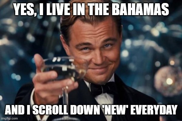 Leonardo Dicaprio Cheers Meme | YES, I LIVE IN THE BAHAMAS AND I SCROLL DOWN 'NEW' EVERYDAY | image tagged in memes,leonardo dicaprio cheers | made w/ Imgflip meme maker