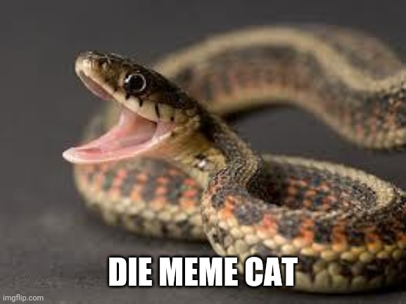Warning Snake | DIE MEME CAT | image tagged in warning snake | made w/ Imgflip meme maker