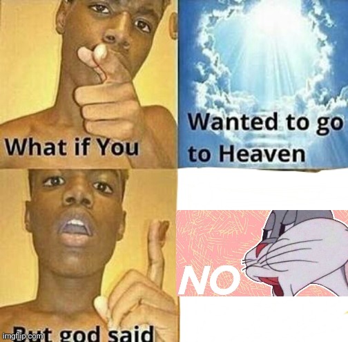 This meme is stupid | image tagged in what if you wanted to go to heaven,memes | made w/ Imgflip meme maker