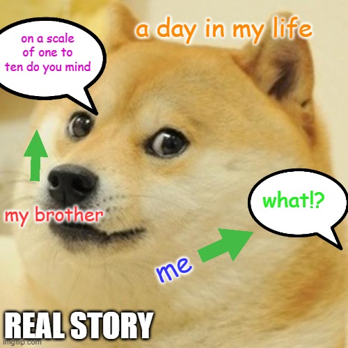 Doge Meme | a day in my life; on a scale of one to ten do you mind; what!? my brother; me; REAL STORY | image tagged in memes,doge | made w/ Imgflip meme maker