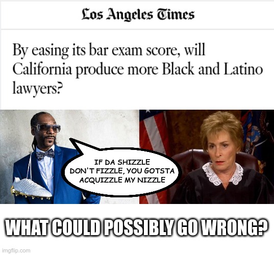 What could possibly go wrong? | IF DA SHIZZLE DON'T FIZZLE, YOU GOTSTA ACQUIZZLE MY NIZZLE; WHAT COULD POSSIBLY GO WRONG? | image tagged in judge judy unimpressed | made w/ Imgflip meme maker