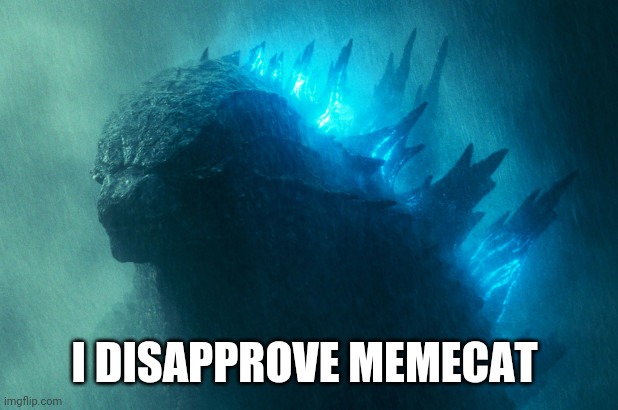 The King Disapproves | I DISAPPROVE MEMECAT | image tagged in the king disapproves | made w/ Imgflip meme maker