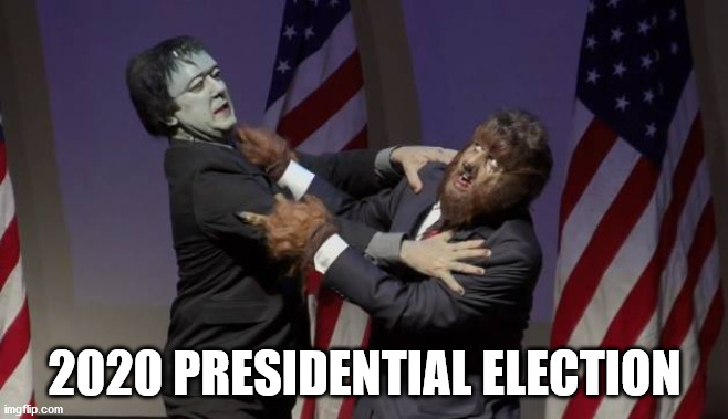 2020 US Elections | 2020 PRESIDENTIAL ELECTION | image tagged in presidential race,president | made w/ Imgflip meme maker