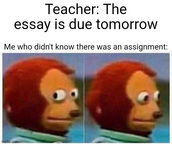 Monkey Puppet Meme | Teacher: The essay is due tomorrow; Me who didn't know there was an assignment: | image tagged in memes,monkey puppet,meme,funny,funny meme,funny memes | made w/ Imgflip meme maker