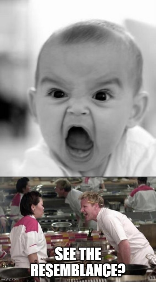 See the Resemlance?? | SEE THE RESEMBLANCE? | image tagged in memes,angry baby,angry chef gordon ramsay | made w/ Imgflip meme maker