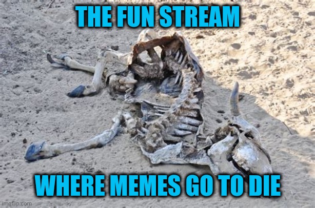 Post here to be ignored and forgotten | THE FUN STREAM; WHERE MEMES GO TO DIE | image tagged in no fun stream | made w/ Imgflip meme maker