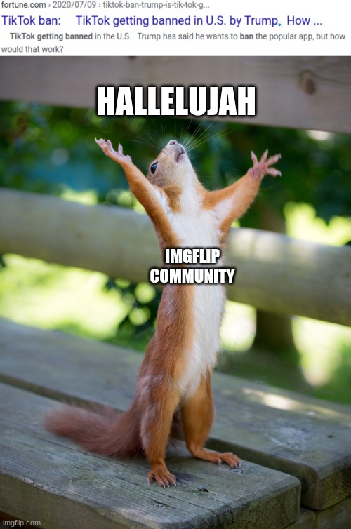 Finally! | HALLELUJAH; IMGFLIP COMMUNITY | image tagged in hallelujah,memes,tiktok,banned | made w/ Imgflip meme maker