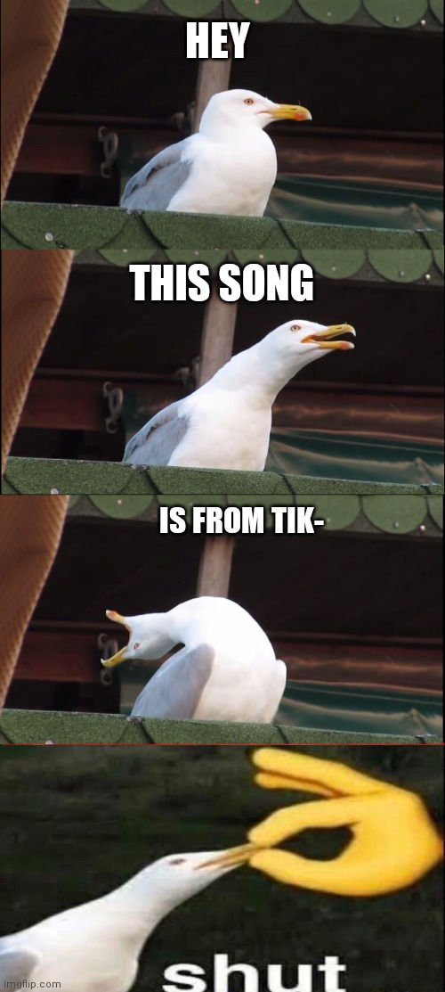 shut | HEY; THIS SONG; IS FROM TIK- | image tagged in memes,inhaling seagull | made w/ Imgflip meme maker