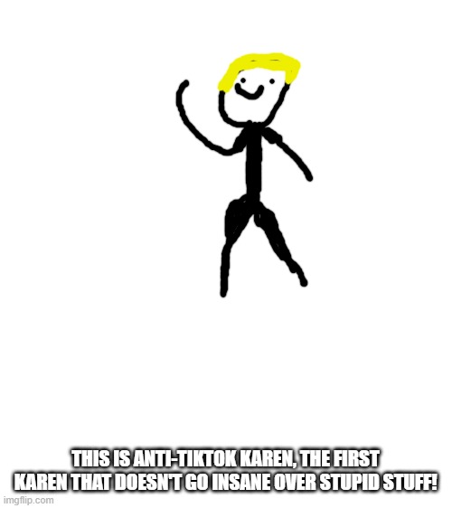 anti tik tok karen | THIS IS ANTI-TIKTOK KAREN, THE FIRST KAREN THAT DOESN'T GO INSANE OVER STUPID STUFF! | image tagged in blank white template,anti-tiktok karen | made w/ Imgflip meme maker