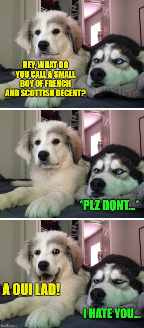 Get it? Hyuck hyuck... | HEY, WHAT DO YOU CALL A SMALL BOY OF FRENCH AND SCOTTISH DECENT? *PLZ DONT...*; A OUI LAD! I HATE YOU... | image tagged in bad pun dogs,french,scottish | made w/ Imgflip meme maker