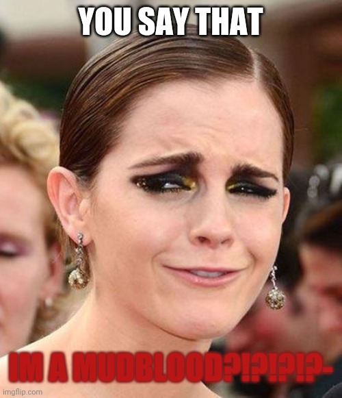 Smug Emma Watson | YOU SAY THAT IM A MUDBLOOD?!?!?!?- | image tagged in smug emma watson | made w/ Imgflip meme maker
