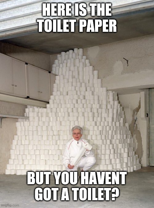 mountain of toilet paper | HERE IS THE TOILET PAPER BUT YOU HAVENT GOT A TOILET? | image tagged in mountain of toilet paper | made w/ Imgflip meme maker