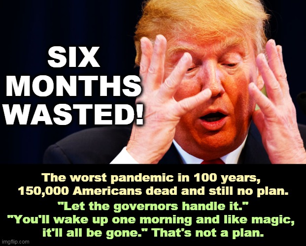 The worst public policy failure in history. | SIX MONTHS WASTED! The worst pandemic in 100 years, 
150,000 Americans dead and still no plan. "Let the governors handle it." "You'll wake up one morning and like magic, 
it'll all be gone." That's not a plan. | image tagged in trump meltdown with hands,trump,waste,time,frozen,incompetence | made w/ Imgflip meme maker