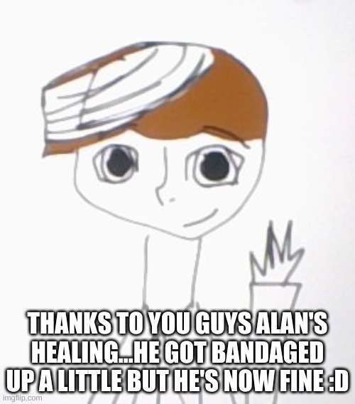 THANKS TO YOU GUYS ALAN'S HEALING...HE GOT BANDAGED UP A LITTLE BUT HE'S NOW FINE :D | made w/ Imgflip meme maker