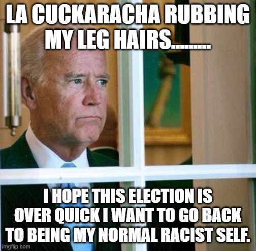 Sad Joe Biden | LA CUCKARACHA RUBBING MY LEG HAIRS......... I HOPE THIS ELECTION IS OVER QUICK I WANT TO GO BACK TO BEING MY NORMAL RACIST SELF. | image tagged in sad joe biden | made w/ Imgflip meme maker
