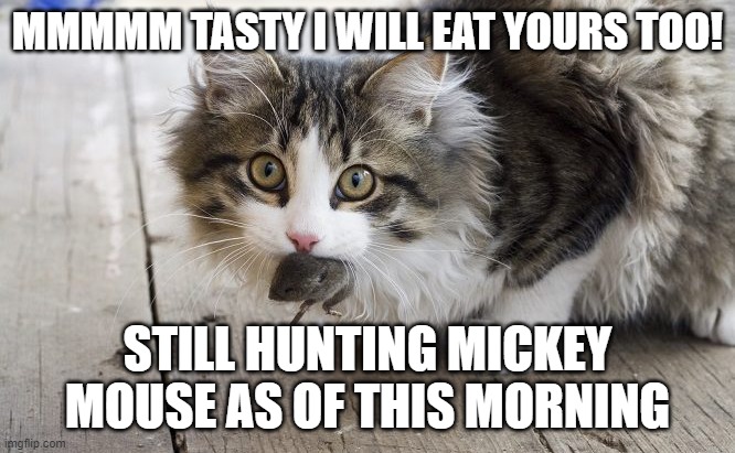 MMMMM TASTY I WILL EAT YOURS TOO! STILL HUNTING MICKEY MOUSE AS OF THIS MORNING | made w/ Imgflip meme maker