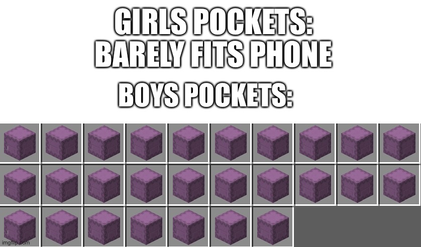 There like bottomeless pits | GIRLS POCKETS: BARELY FITS PHONE; BOYS POCKETS: | image tagged in minecraft,boys vs girls | made w/ Imgflip meme maker
