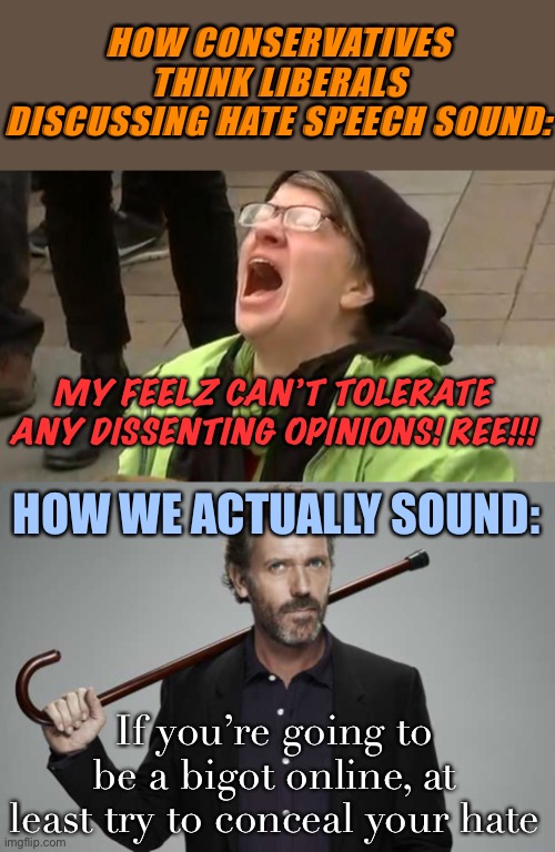 We can tolerate your dumb opinions. We just don’t want you to do collateral damage to innocents while you’re airing them. | HOW CONSERVATIVES THINK LIBERALS DISCUSSING HATE SPEECH SOUND:; MY FEELZ CAN’T TOLERATE ANY DISSENTING OPINIONS! REE!!! HOW WE ACTUALLY SOUND:; If you’re going to be a bigot online, at least try to conceal your hate | image tagged in dr house,sky screamer,bigotry,hate speech,conservative logic,free speech | made w/ Imgflip meme maker