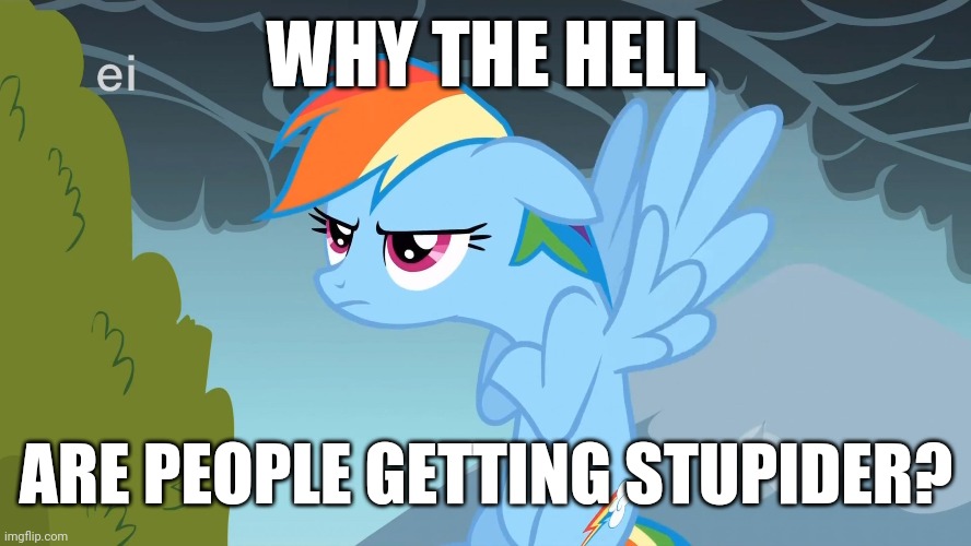 Everyone's brain is dying! | WHY THE HELL; ARE PEOPLE GETTING STUPIDER? | image tagged in grumpy pony,memes,stupid,humanity | made w/ Imgflip meme maker