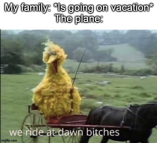 Back when I flew, the time would be either early in the morning or late at night. | My family: *Is going on vacation*
The plane: | image tagged in we ride at dawn bitches,airplane,vacation | made w/ Imgflip meme maker