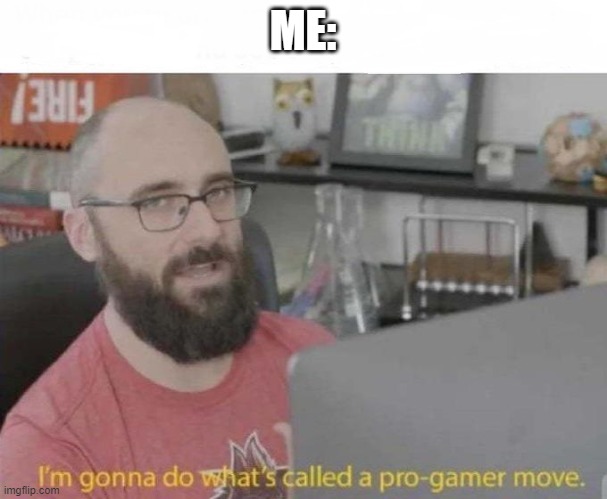 Pro Gamer move | ME: | image tagged in pro gamer move | made w/ Imgflip meme maker