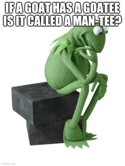 Philosophy Kermit | IF A GOAT HAS A GOATEE IS IT CALLED A MAN-TEE? | image tagged in philosophy kermit | made w/ Imgflip meme maker