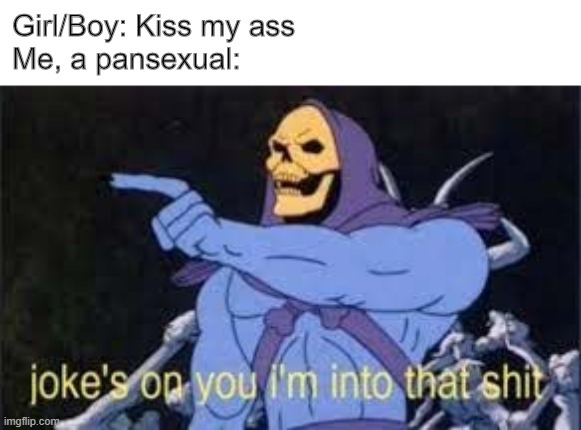I'm actually a pansexual | Girl/Boy: Kiss my ass
Me, a pansexual: | image tagged in jokes on you im into that shit | made w/ Imgflip meme maker