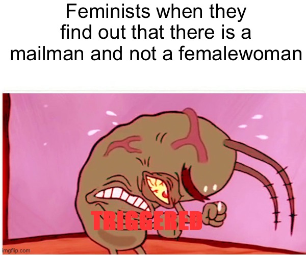 Anger | Feminists when they find out that there is a mailman and not a femalewoman; TRIGGERED | image tagged in feminist,plankton | made w/ Imgflip meme maker