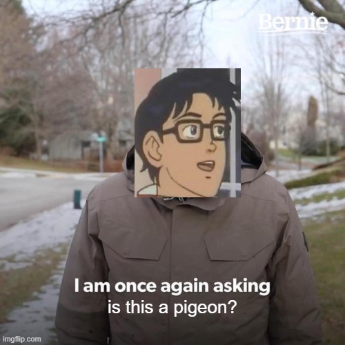 Crossover | is this a pigeon? | image tagged in memes,bernie i am once again asking for your support,crossover,is this a pigeon | made w/ Imgflip meme maker