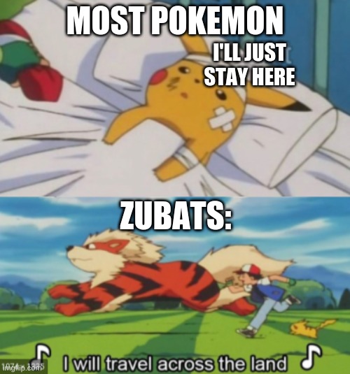 2 true 4 schul? | MOST POKEMON; I'LL JUST STAY HERE; ZUBATS: | image tagged in zubat u annoy,i will travel across the land,pokemon | made w/ Imgflip meme maker