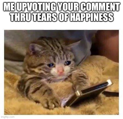 Crying Cat | ME UPVOTING YOUR COMMENT THRU TEARS OF HAPPINESS | image tagged in crying cat | made w/ Imgflip meme maker