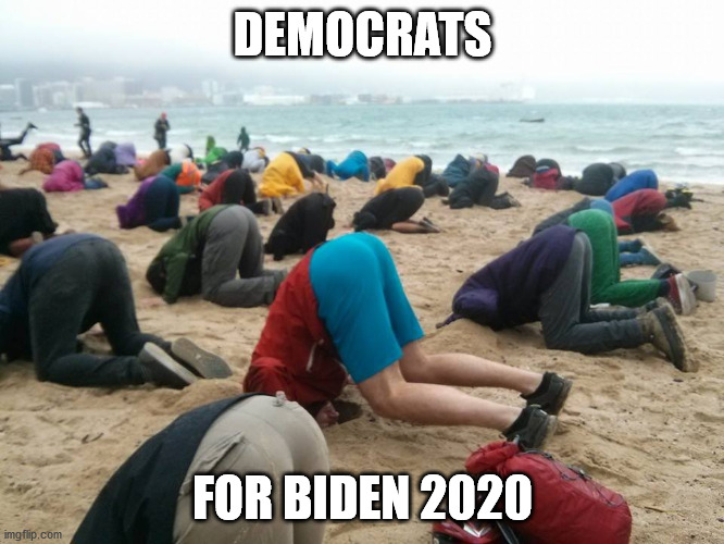 Vote Joe Biden | DEMOCRATS; FOR BIDEN 2020 | image tagged in head in the sand,joe biden,potus | made w/ Imgflip meme maker