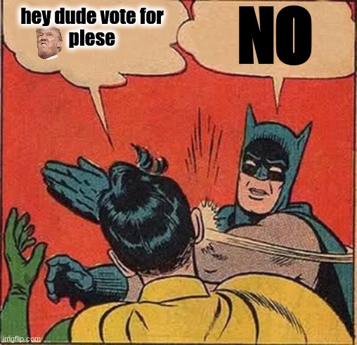 KILL me | NO; hey dude vote for

plese | image tagged in memes,batman slapping robin | made w/ Imgflip meme maker
