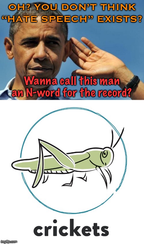 Hate speech denialists: Take the N-word challenge | OH? YOU DON’T THINK “HATE SPEECH” EXISTS? Wanna call this man an N-word for the record? | image tagged in obama crickets reacc,hate speech,conservative logic,free speech,bigotry,racist | made w/ Imgflip meme maker