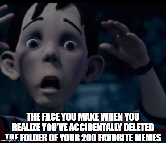 DJ is shocked | THE FACE YOU MAKE WHEN YOU REALIZE YOU'VE ACCIDENTALLY DELETED THE FOLDER OF YOUR 200 FAVORITE MEMES | image tagged in memes | made w/ Imgflip meme maker