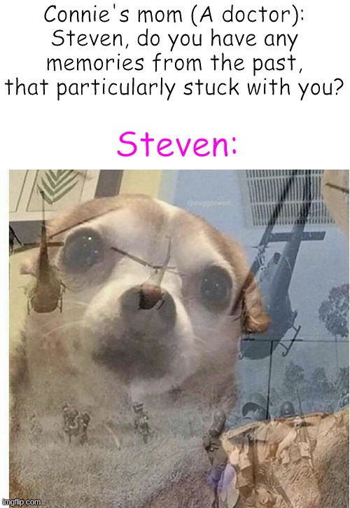 Do you want them alphabetically or in order from oldest to most previous? | Connie's mom (A doctor): Steven, do you have any memories from the past, that particularly stuck with you? Steven: | image tagged in ptsd chihuahua,steven universe,ptsd | made w/ Imgflip meme maker