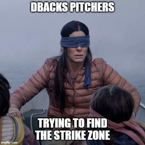 pitchers | DBACKS PITCHERS; TRYING TO FIND THE STRIKE ZONE | image tagged in memes,bird box | made w/ Imgflip meme maker